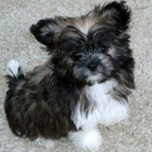 Meet your Posher, Macy